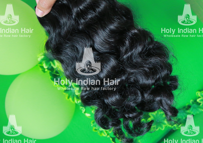Holy Raw Indian Hair